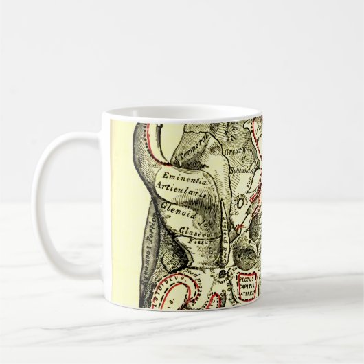 Vintage Anatomie-Basis des Schädel External Kaffeetasse (Links)