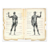 Vintage Anatomie-Buchseiten Fotodruck (Vorne)