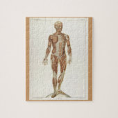 Vintage Anatomie-Buchseiten Puzzle (Vertikal)