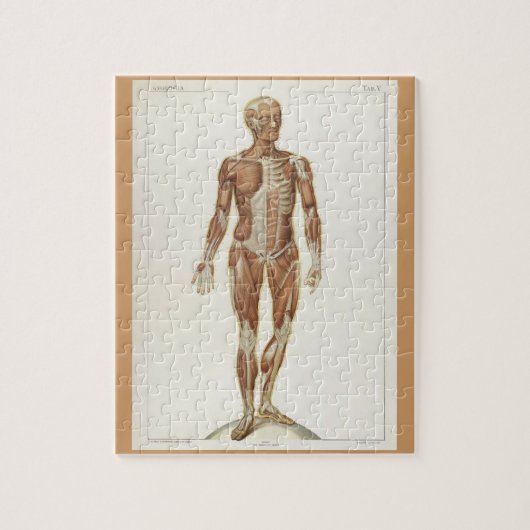 Vintage Anatomie-Buchseiten Puzzle (Vertikal)