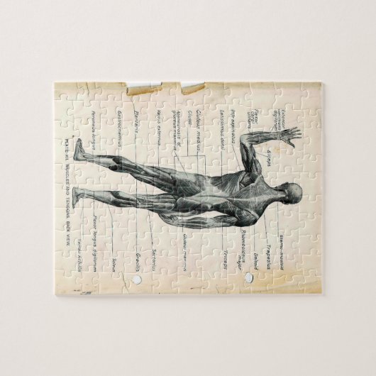 Vintage Anatomie-Buchseiten Puzzle (Horizontal)