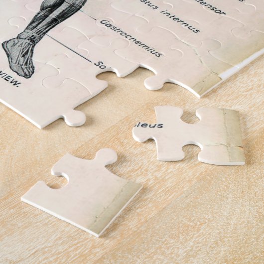 Vintage Anatomie-Buchseiten Puzzle (Seite)