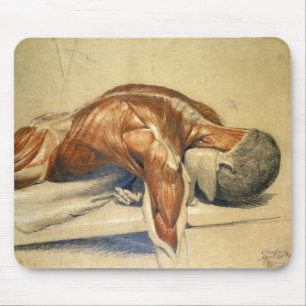 Vintage Anatomie Charles Landseer ein Mousepad