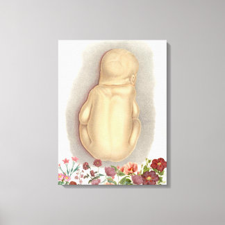 Vintage Anatomie der Leinwand