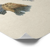 Vintage Anatomie der Niere Poster (Ecke)