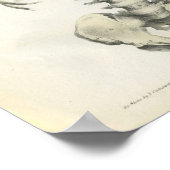 Vintage Anatomie des Axialskeletts Poster (Ecke)