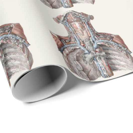 Vintage Anatomie des Menschen Geschenkpapier (Rolleneckpunkt)