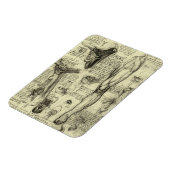 Vintage Anatomie des Menschen Larynx Leg Leonardo Magnet (Linke Seite)