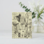 Vintage Anatomie des Menschen Larynx Leg Leonardo Postkarte (Stehend Vorderseite)