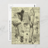 Vintage Anatomie des Menschen Larynx Leg Leonardo Postkarte (Vorne/Hinten)