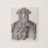 Vintage Anatomie des Menschen Puzzle (Vertikal)