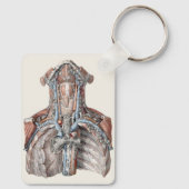 Vintage Anatomie des Menschen Schlüsselanhänger (Rückseite)