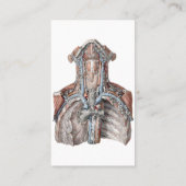 Vintage Anatomie des Menschen Visitenkarte (Rückseite)