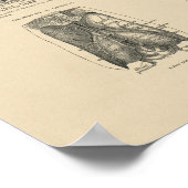 Vintage Anatomie des menschlichen Gehirns 1880 Pri Poster (Ecke)