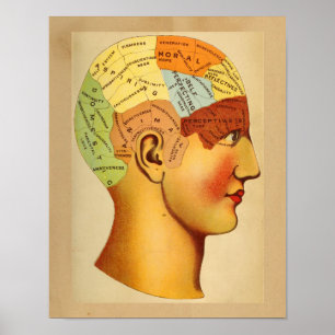 Vintage Anatomie-Druck Phrenologie Kopf Diagramm F Poster