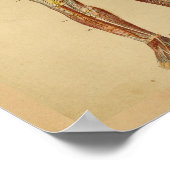 Vintage Anatomie Drucke Herz Arterien Venen (Ecke)