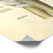 Vintage Anatomie DruckELBOGEN Poster (Ecke)