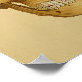 Vintage Anatomie Druckknochen am menschlichen Schä Poster (Ecke)