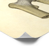 Vintage Anatomie Druckknochen Pelvis Poster (Ecke)