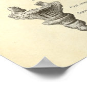 Vintage Anatomie Druckknochen Sacrum Poster (Ecke)