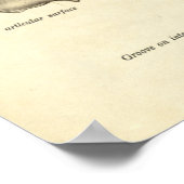 Vintage Anatomie Druckknochen Tibia Poster (Ecke)