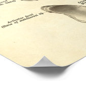 Vintage Anatomie Druckknochen von Foot Poster (Ecke)