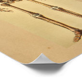 Vintage Anatomie Druckkunde Poster (Ecke)