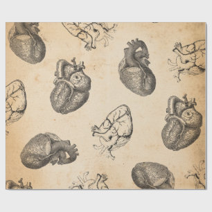 Vintage Anatomie Geschenkpapier