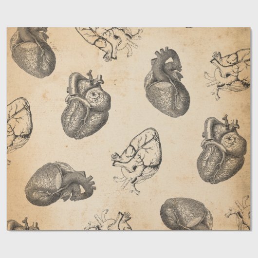 Vintage Anatomie Geschenkpapier (Flach)