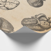Vintage Anatomie Geschenkpapier (Ecke)