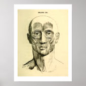 Vintage Anatomie | Gesichtsmuskeln (um 1852) Poster (Vorne)