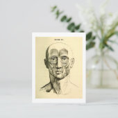 Vintage Anatomie | Gesichtsmuskeln (um 1852) Postkarte (Stehend Vorderseite)