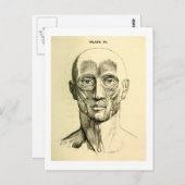 Vintage Anatomie | Gesichtsmuskeln (um 1852) Postkarte (Vorne/Hinten)