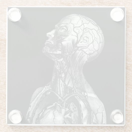 Vintage Anatomie Glasuntersetzer (Rückseite)