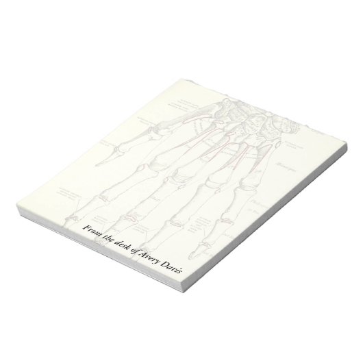 Vintage Anatomie | Handknochen Notizblock (Rotiert)