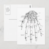 Vintage Anatomie | Handknochen Postkarte (Vorne/Hinten)