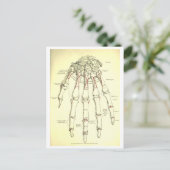 Vintage Anatomie | Handknochen Postkarte (Stehend Vorderseite)