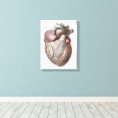 Vintage Anatomie Herzorgane gesund Leinwanddruck (Insitu (Holzboden))