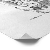 Vintage Anatomie Illustration Beckenknochen Poster (Ecke)