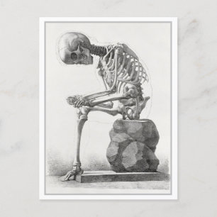 Vintage Anatomie-Illustration Postkarte