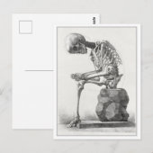 Vintage Anatomie-Illustration Postkarte (Vorne/Hinten)
