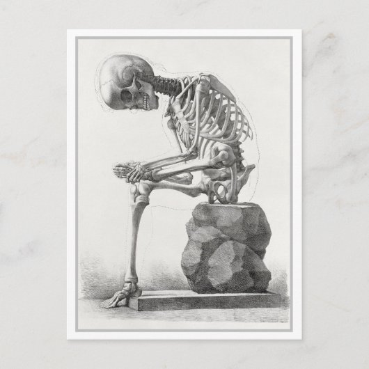 Vintage Anatomie-Illustration Postkarte (Vorderseite)