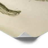 Vintage Anatomie im Nervensystem Poster (Ecke)