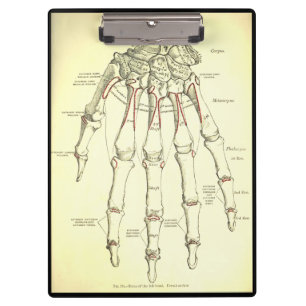 Vintage Anatomie Knochen der Hand Klemmbrett