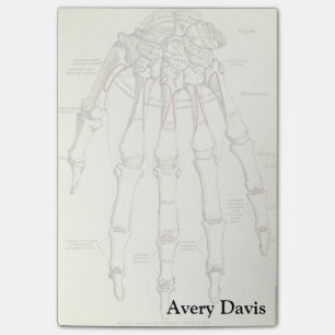 Vintage Anatomie Knochen der Hand Post-it Klebezettel