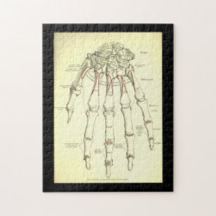 Vintage Anatomie Knochen der Hand Puzzle