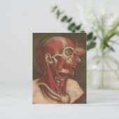Vintage Anatomie | Kopf, Hals und Schultern Postkarte (Stehend Vorderseite)