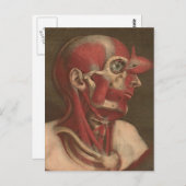 Vintage Anatomie | Kopf, Hals und Schultern Postkarte (Vorne/Hinten)