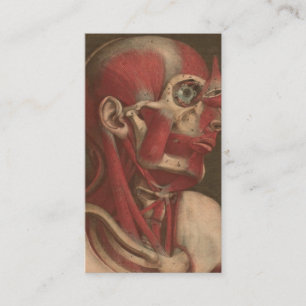 Vintage Anatomie Kopf, Hals und Schultern Visitenkarte