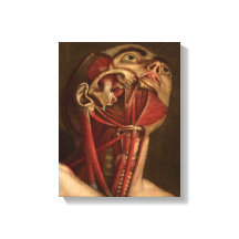 Vintage Anatomie | Kopf und Neck
